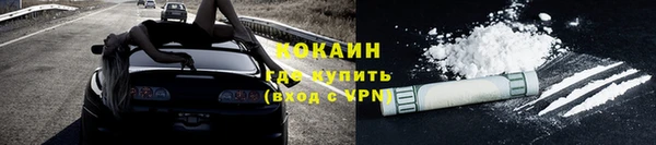 шишки Балабаново