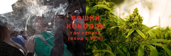 каннабис Белокуриха