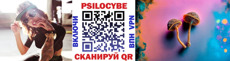 Псилоцибиновые грибы мицелий Сегежа